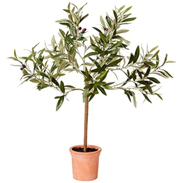 Stone & Beam Artificial Olive Tree Topiary for Home Decor