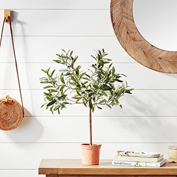 Stone & Beam Artificial Olive Tree Topiary for Home Decor