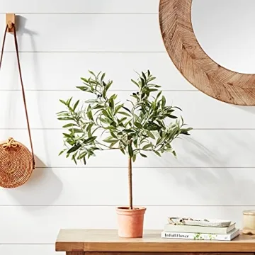 Stone & Beam Artificial Olive Tree Topiary for Home Decor