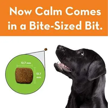 ThunderWunders Hemp Calming Chews for Dogs | 180 Count | Vet Recommended