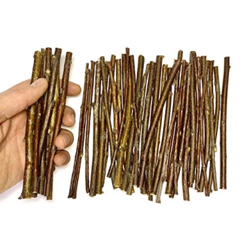 ECOVENIK - 120 Gram - Wood Sticks for Crafts - 6 Inch Birch Wood Craft Sticks - Natural Twigs Sticks...