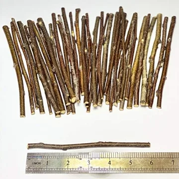 Craft Unique Projects with ECOVENIK Wood Sticks for Crafts