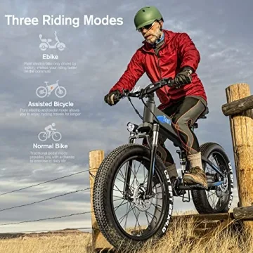 TotGuard E-Bike: Fat Tire 500W Motor, 21 Speed, Foldable