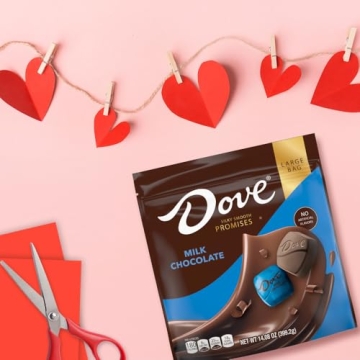 DOVE PROMISES Milk Chocolate Candy Gift, 14.08 oz Bag