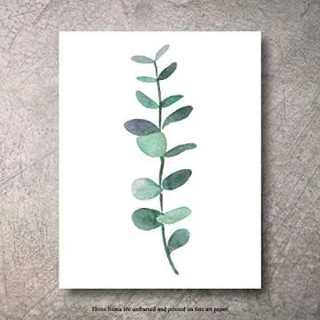 Botanical Prints Wall Decor - Kitchen Art Eucalyptus Leaves Set UNFRAMED Pictures 6 PIECES Nature Floral Plant Flower Green Small Botanical Prints Wall Art Vintage Print looking Poster (5x7)