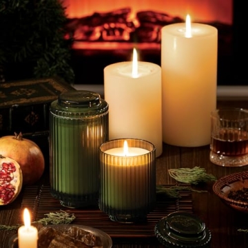 LA JOLIE MUSE Fir & Cedarwood Candle for Home Decor
