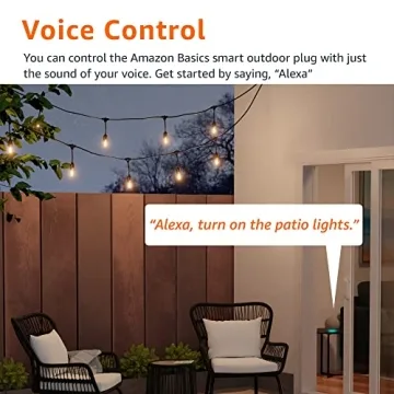 Amazon Basics Outdoor Smart Plug with Alexa Control