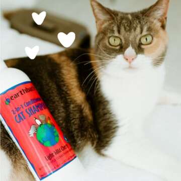 Wild Cherry Cat Shampoo - Natural & Cruelty-Free 16 Oz