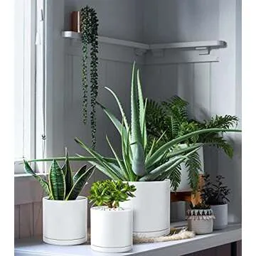 D'vine Dev 6 Inch 6.5 Inch 8 Inch, Set of 3 Plastic Planter Pots for Plants with Drainage Hole and Seamless Saucers, White Color, Medium, 74-V-A-3