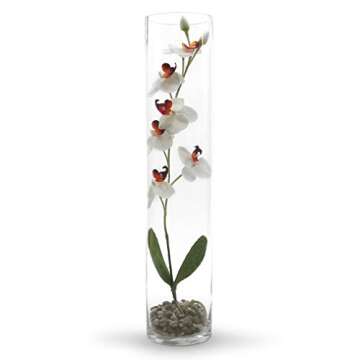 WGV Quality Thick Cylinder Glass Vase, Diameter 5", Height 24", Clear, Floral Planter Container, Tall Centerpiece Arrangement for Wedding Event Home Decor, 1 Piece