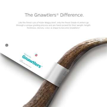 Pet Parents Gnawtlers® Premium Naturally Shed Elk Antler Dog Chew - Medium Size