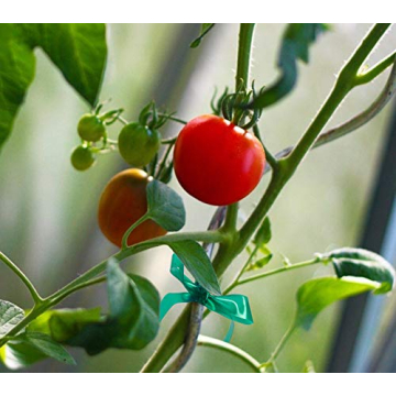 Unves Garden Plant Tape Roll - 150ft Eco-Friendly Support