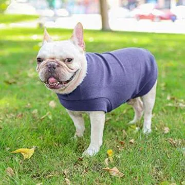 Small Dogs Fleece Dog Sweatshirt - Cold Weather Hoodies Spring Soft Vest Thickening Warm Cat Sweater Puppy Clothes Sweater Winter Sweatshirt Pet Pajamas for Small Dog Cat Puppy Medium, Grayish Purple