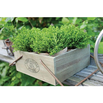 Esschert Design Aged Terracotta Flowerpots in Metal Basket