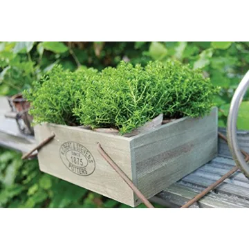 Esschert Design Aged Terracotta Flowerpots in Metal Basket