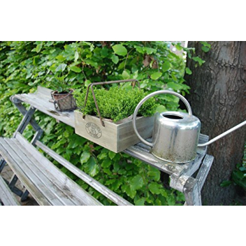 Esschert Design Aged Terracotta Flowerpots in Metal Basket