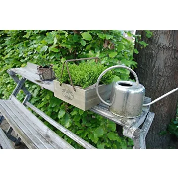 Esschert Design Aged Terracotta Flowerpots in Metal Basket