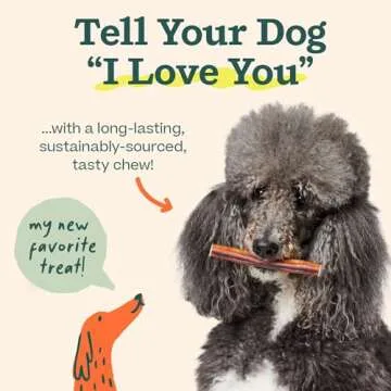 WOOF Bully Sticks Dog Treats - Chew Sticks for Dogs - Long-Lasting Dog Chew Treats - Dog Products Made with Free-Range, Grass-Fed Beef - 12" Sticks - 10pk