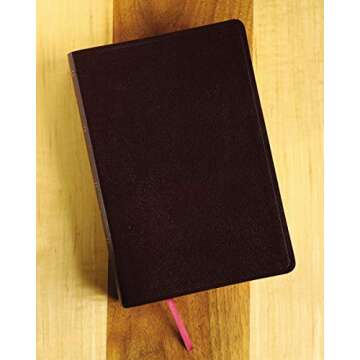 Amplified Holy Bible, Burgundy Leather, Large Print Edition