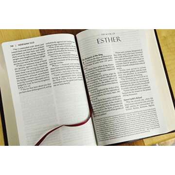 Amplified Holy Bible, Burgundy Leather, Large Print Edition