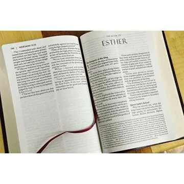 Amplified Holy Bible, Burgundy Leather, Large Print Edition