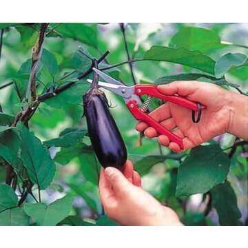 ARS Needle Nose Pruner HP-SE45, Orange