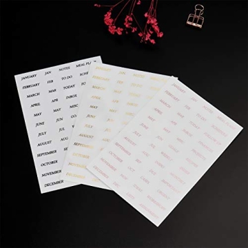 Premium Transparent A5 Planner Divider Index Set