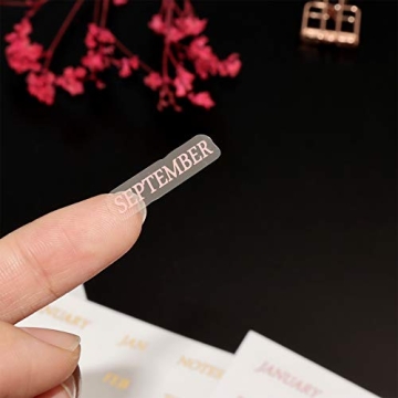 Premium Transparent A5 Planner Divider Index Set