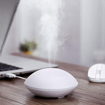 BBSKIN Mini Essential Oil Diffuser for Travel and Home