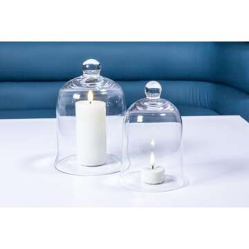 Elegant Glass Cloche for Home Decor and Gifting
