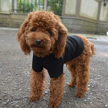Lovelonglong Dog T-Shirt for Comfort & Style for Dogs