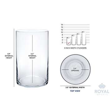 Royal Imports Flower Glass Vase Decorative Centerpiece For Home or Wedding - Cylinder Shape, 6" Tall, 3.5" Opening, Clear