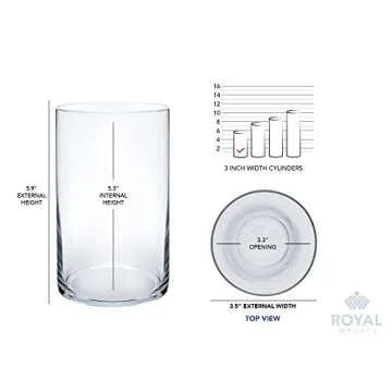 Royal Imports Flower Glass Vase Decorative Centerpiece For Home or Wedding - Cylinder Shape, 6" Tall, 3.5" Opening, Clear