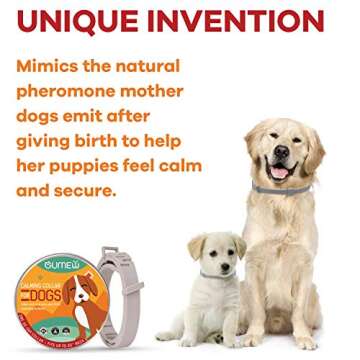 Buluri 4-Pack Pet Training Clickers with Wrist Bands