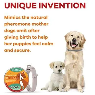 Buluri 4-Pack Pet Training Clickers with Wrist Bands