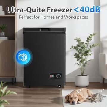 LifePlus 4.2 Cu.Ft Compact Deep Freezer for Any Space