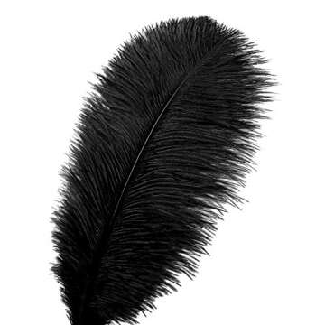 24pcs Natural Black Ostrich Feathers 10-12inch (25-30cm) for Wedding Party Centerpieces，Flower Arr...