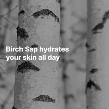 ROUND LAB Birch Juice Moisturizing Sunscreen SPF 45 Broad Spectrum