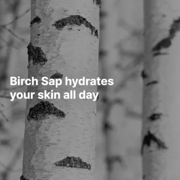 ROUND LAB Birch Juice Moisturizing Sunscreen SPF 45 Broad Spectrum