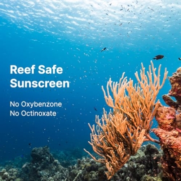 ROUND LAB Birch Juice Moisturizing Sunscreen SPF 45 Broad Spectrum