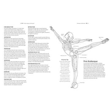 The Dance Anatomy Coloring Book: A Visual Guide to Form, Function, and Movement (Anatomy Coloring Books)