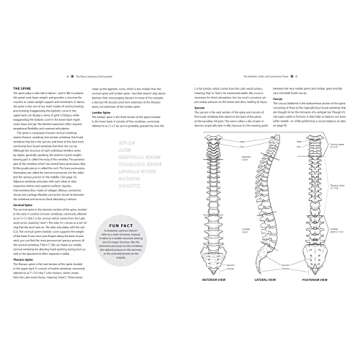 The Dance Anatomy Coloring Book: A Visual Guide to Form, Function, and Movement (Anatomy Coloring Books)