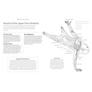 The Dance Anatomy Coloring Book: A Visual Guide to Form, Function, and Movement (Anatomy Coloring Books)