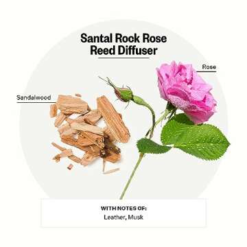 Apotheke Luxury Scented Oil Reed Diffuser for Home (Santal Rock Rose) - Home Fragrance Diffuser Set ...