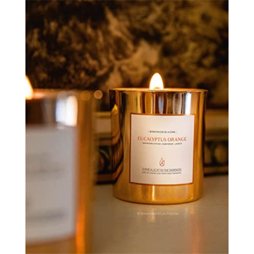 Benevolence Candles Eucalyptus Orange Wood Wick Candles, Soy Scented Candles for Women | 8 Oz Scented Candles for Home Scented | Eucalyptus Candles | Men Candles, Bathroom Candle