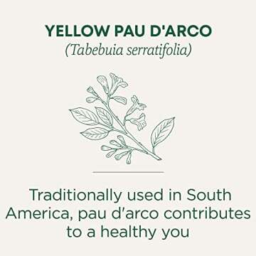 Traditional Medicinals Tea, Yellow Pau d'Arco, Everyday Wellness, 16 Tea Bags
