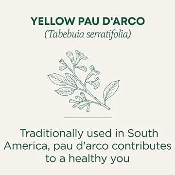 Traditional Medicinals Tea, Yellow Pau d'Arco, Everyday Wellness, 16 Tea Bags