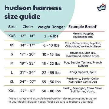 Huxley & Kent Hudson Harness | Woodstock Tie Dye (Large, 22-35lbs) | Easy Control Step-in Mesh Vest Harness for Dogs with Reflective Strips for Safety | H&K Walking, Training Harness for Dogs