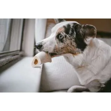 Cadet Stuffed Shin Bones - Durable Peanut Butter Dog Chews