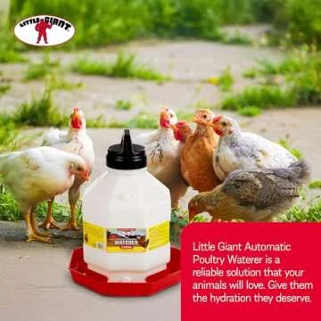 Little Giant Plastic Poultry Waterer